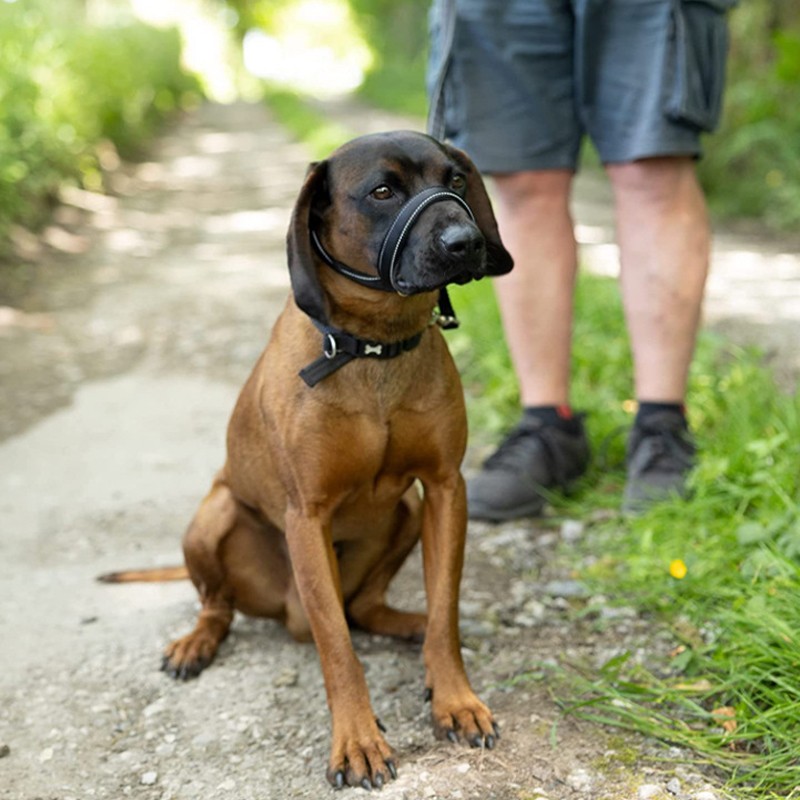 Figure Of 8 Dog Lead With Soft Comfy Padded Loop Handle And Nose Pads — image 3