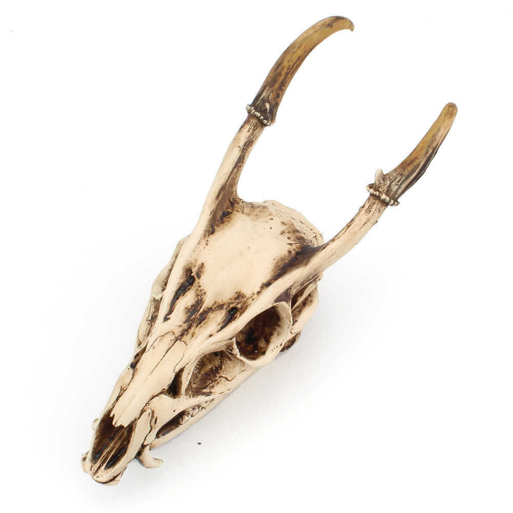 Resin Goat Skull Ornament Three-dimensional Simulation