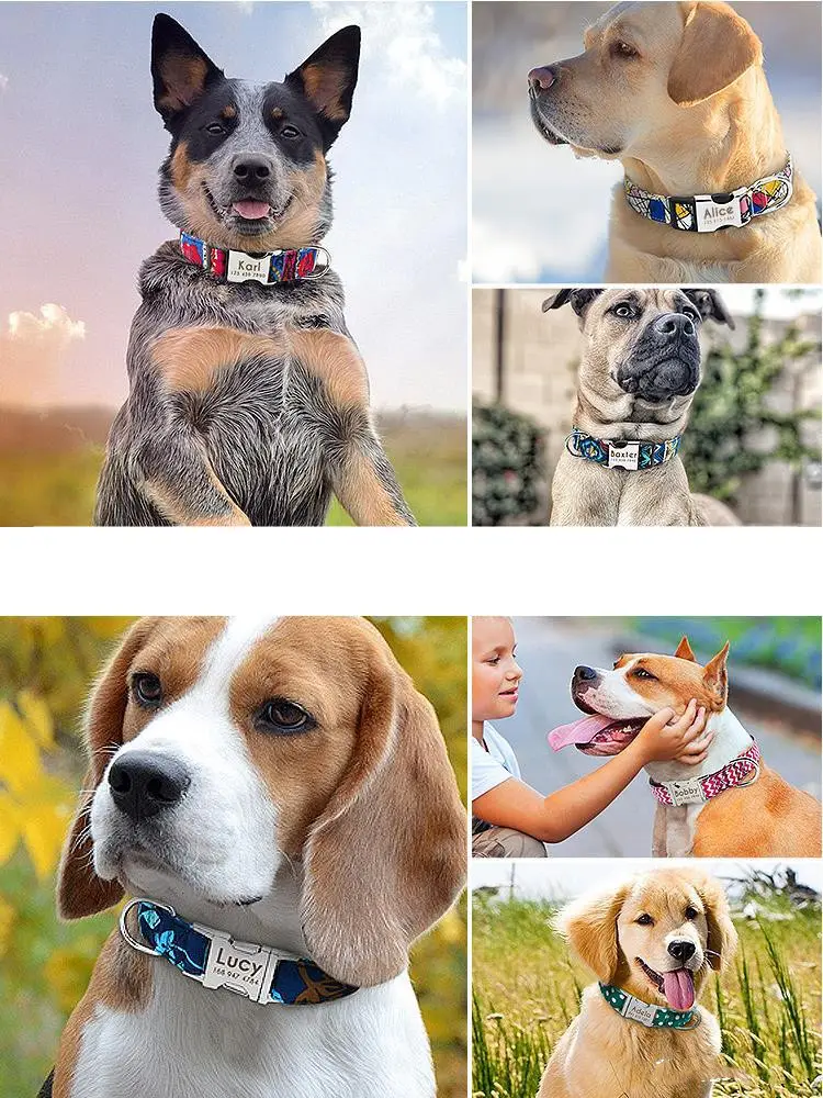 Pet Collar Lettering Large Dog Neck