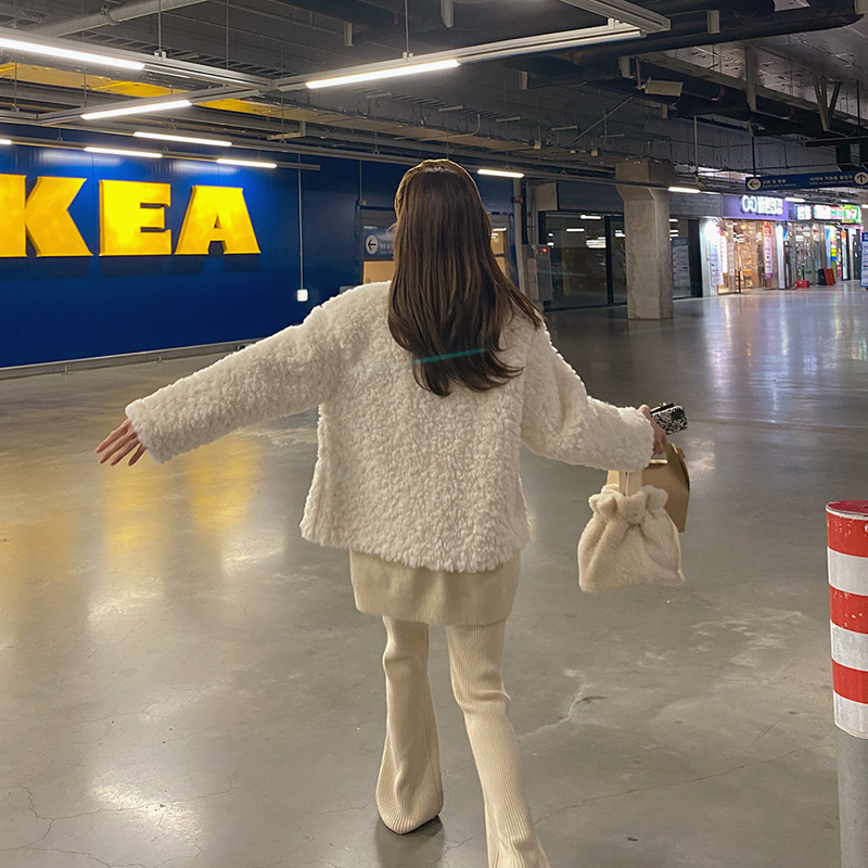 Lamb Plush Coat With Stand-up Collar Women's Double-breasted Plush Coat