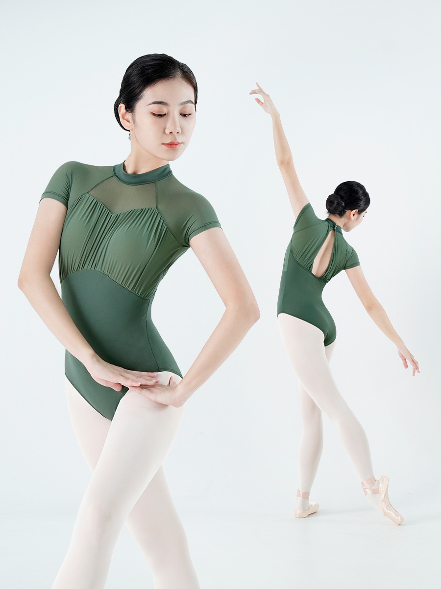 Title 4, Adult Summer Short Sleeve Ballet One-piece