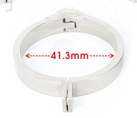 New Bird Cage Stainless Steel Chastity Lock 41Mm - Shop at LoveMi