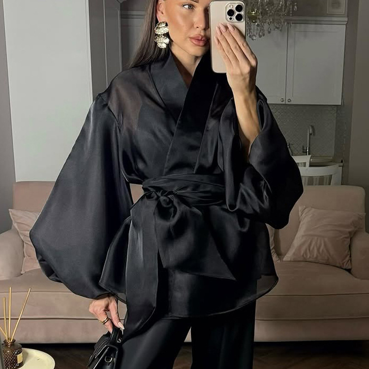 Black Sheer Puff Sleeve V-neck Tie-front Top