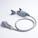 Crucian Carp