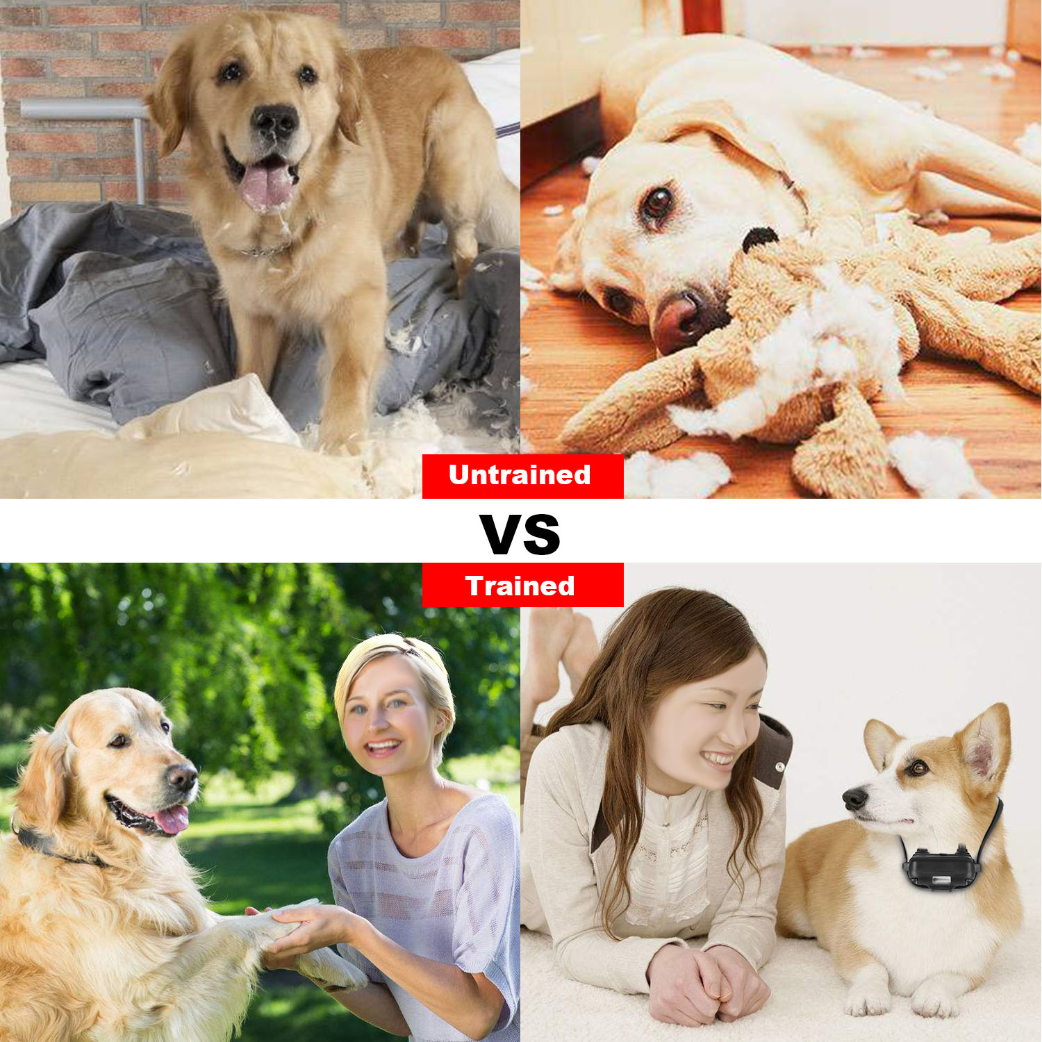 1Pc Dog Training Collar With Remote  IP67 Waterproof Pet Trainer 300mAh Rechargeable 875 Yard Remote Control 4 Modes Adjustable Level — foto 14