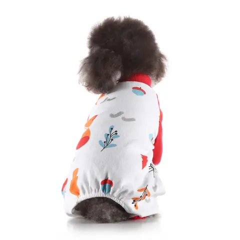 Pet Clothes Autumn and Winter At Home