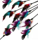 10Pcs