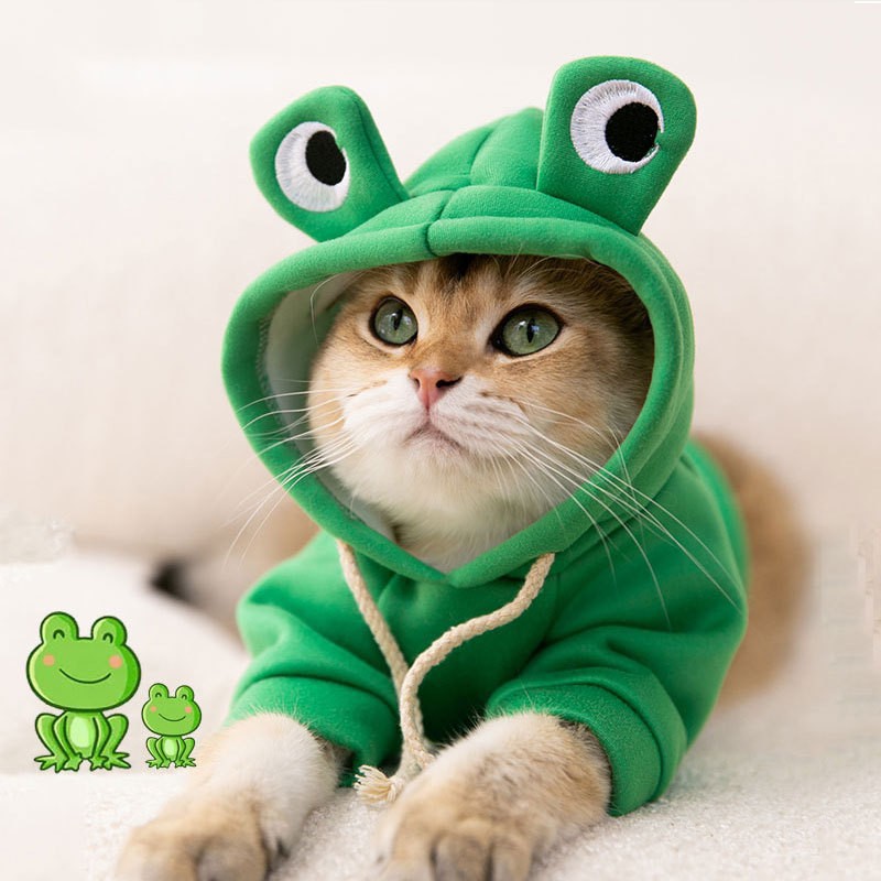 Green frog