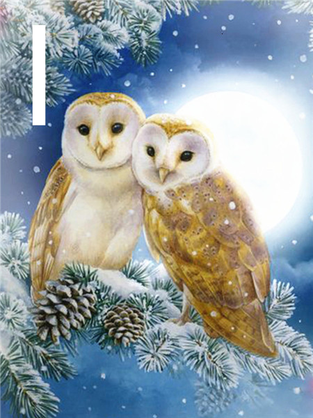 Title 11, Owl Night Tree 5D Diamond Painting Kit, Embroid...