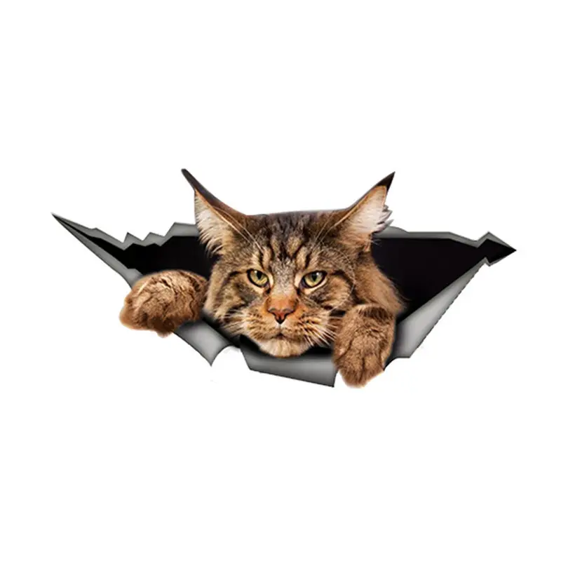 Maine Coon Car Sticker Torn Metal Reflective
