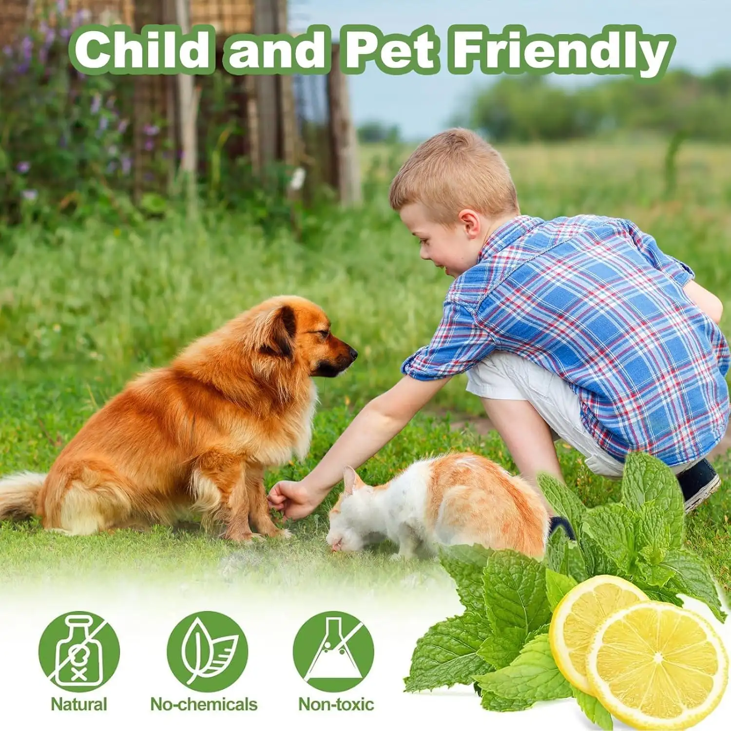 12 Pack Cat Repellent Outdoor, Natural Peppermint Oil Cat Deterrent Outdoor And Indoor, Keep Cats Out Of Yard Permanently, Protect Your Yard And Furniture