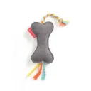 Small Bone