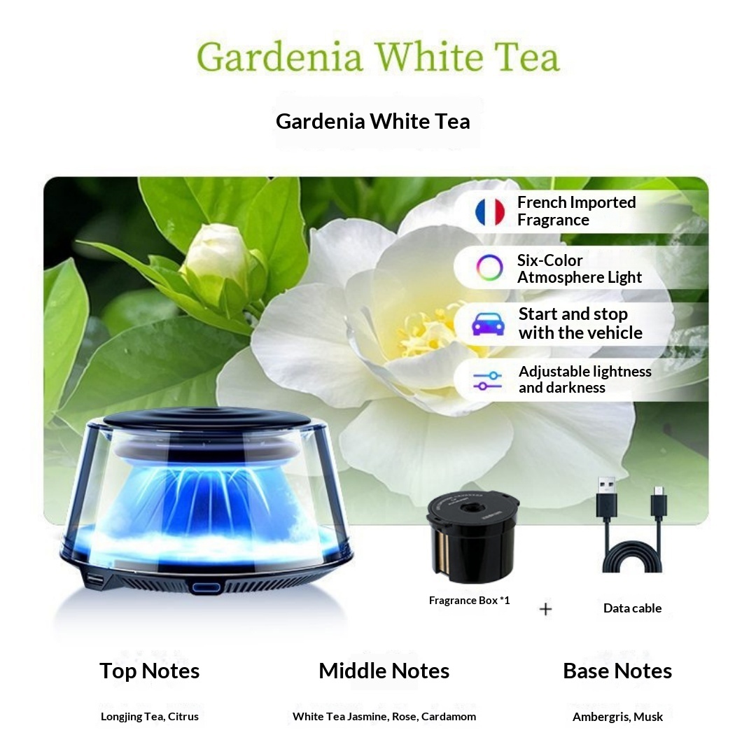 Mountain Car-Sized Aromatherapy Automatic Spray 10