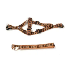 Pet Fashion Brand Dog Leash Collar - Chest Strap Set - View 1