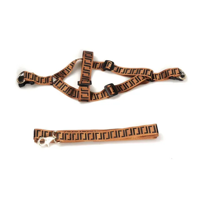 Pet Fashion Brand Dog Leash Collar Chest Strap Set - Shop at LoveMi