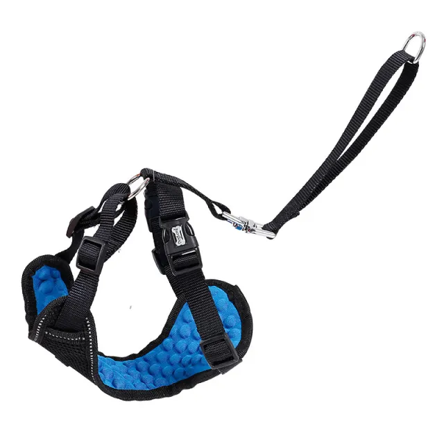 Comfortable Massage Pet Car Seat Belt Blue - Shop at LoveMi