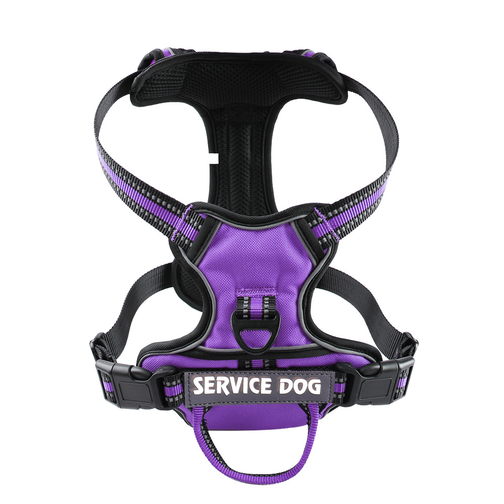 Oxford Cloth Strap Personalized Dog Back Purple - Shop at LoveMi
