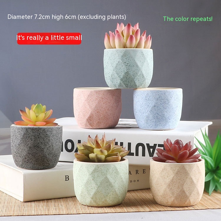 6 Succulent Small Flower Pot