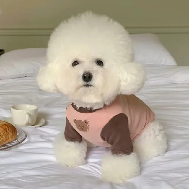 Fashion Personality Small Dog Pet T shirt Pink - Shop at LoveMi