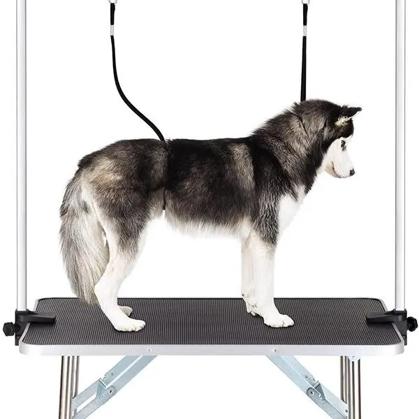 Pet Dog Grooming Table Black - Shop at LoveMi