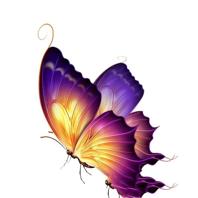 Colorized Butterfly