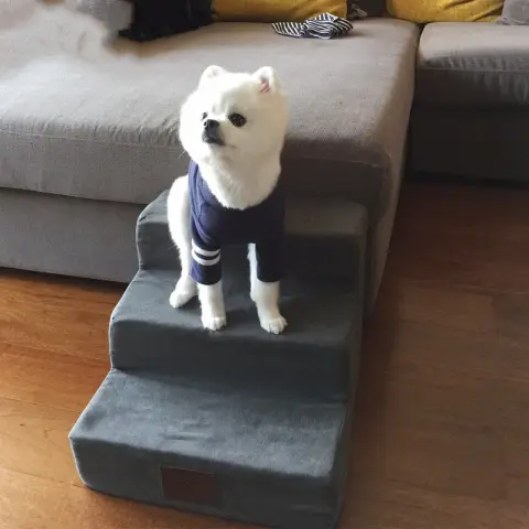 Pet Dog Stairs Climbing Sponge Steps to Bed Ladder