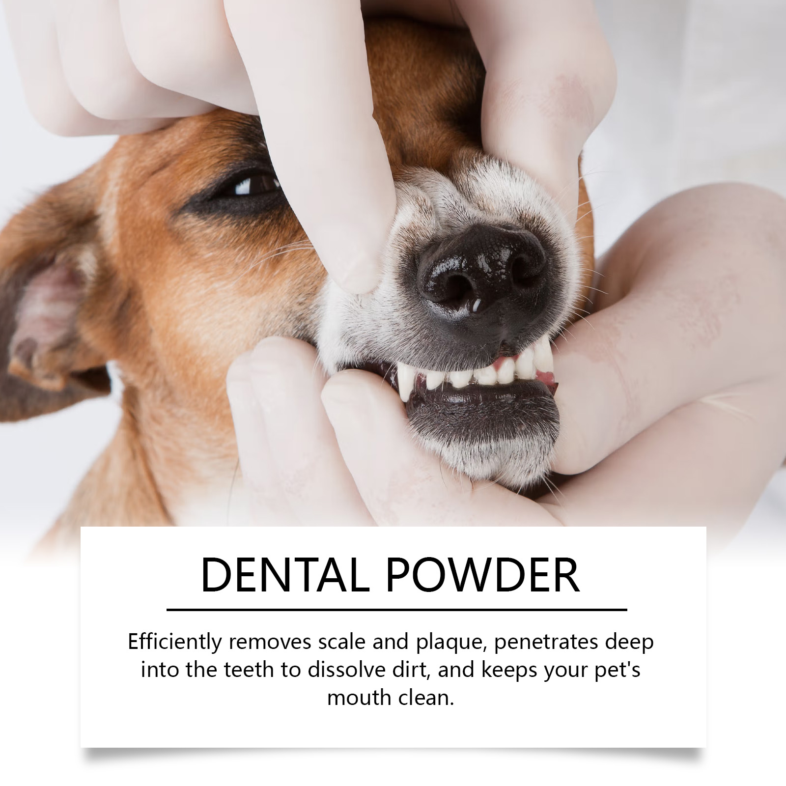 Cat And Dog Teeth Cleaning Powder 9