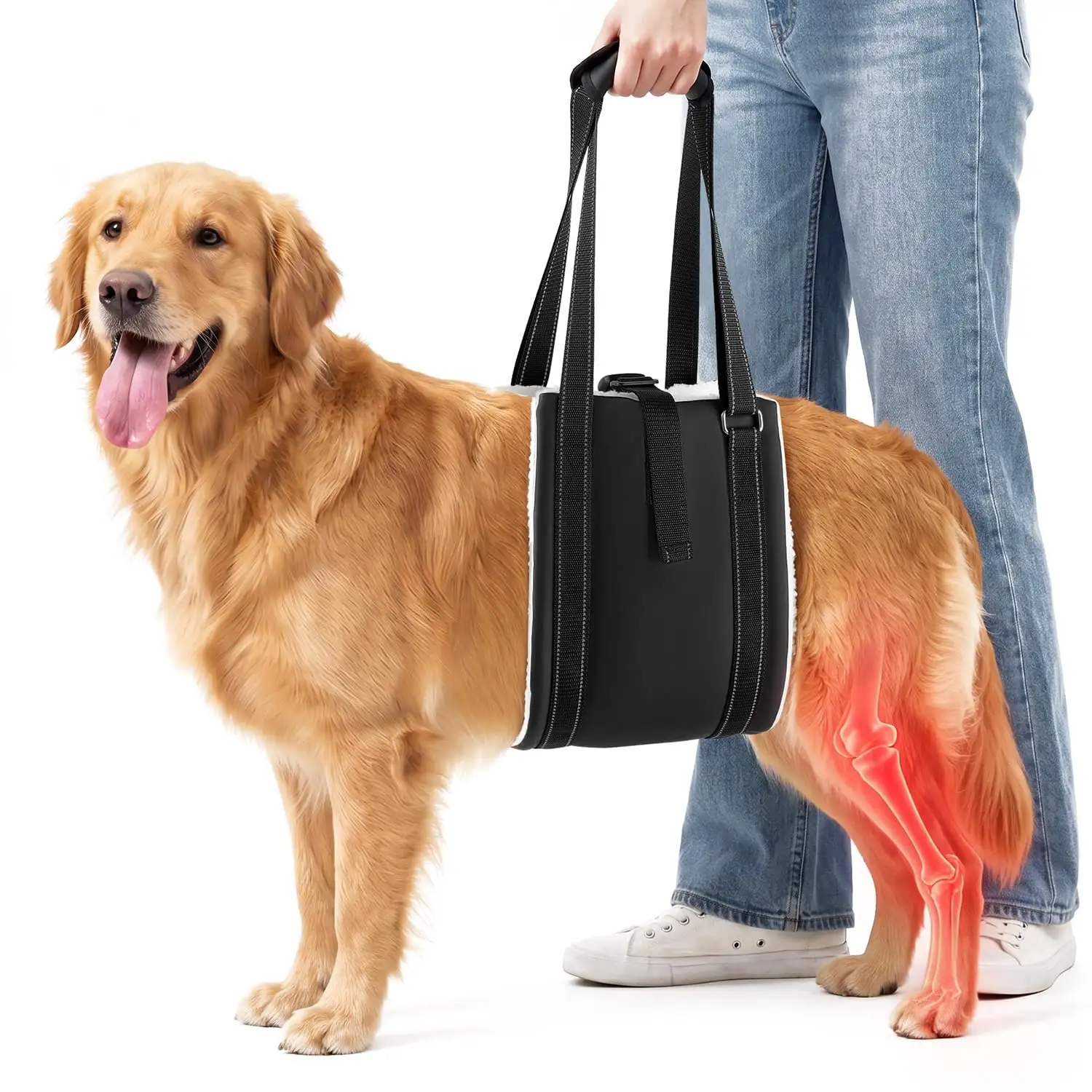 Dog Lift Harness For Rear Legs, Adjustable