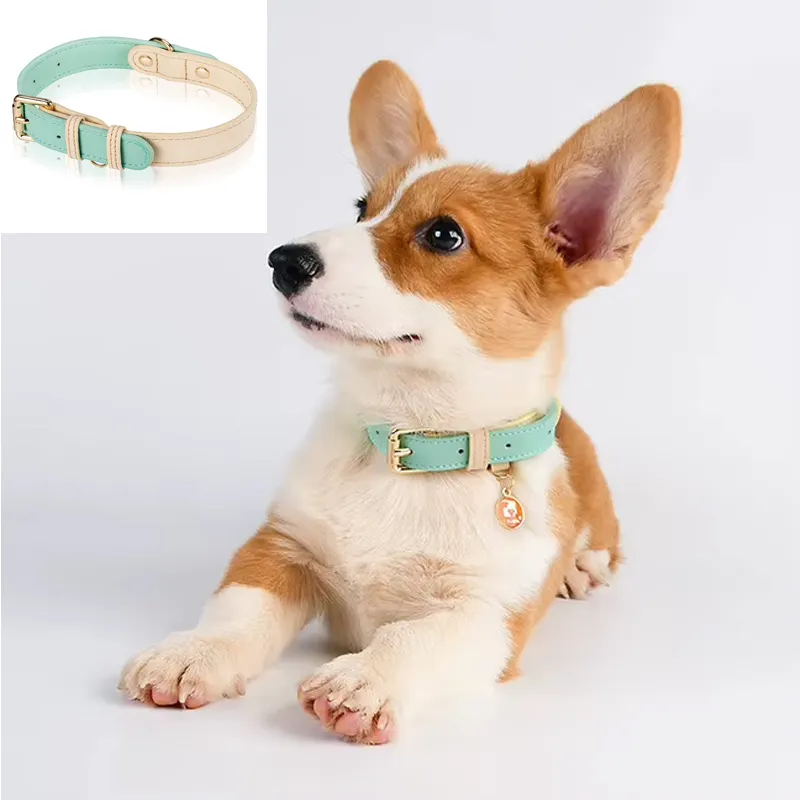 S M L Dog Collar, Leather