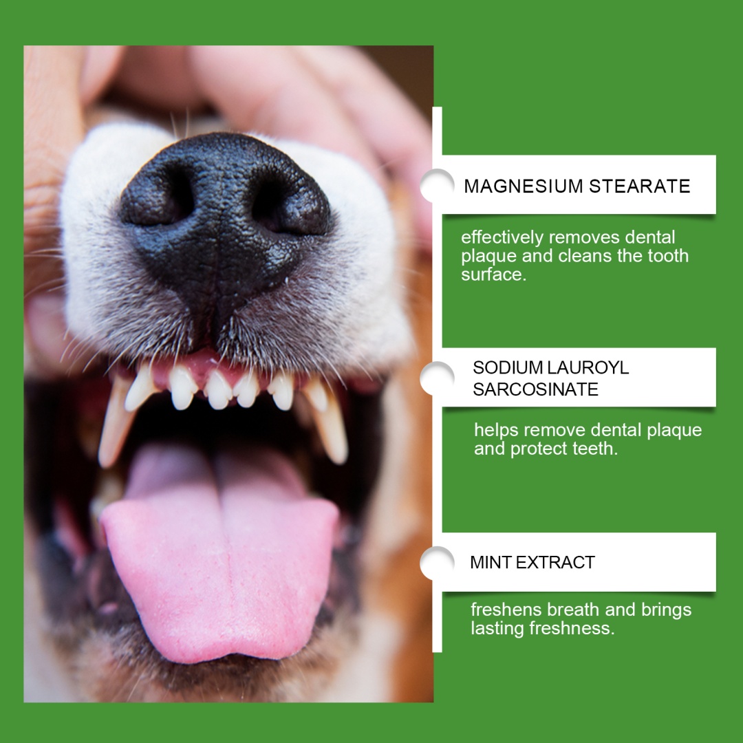 Dog Teeth Cleaning Powder 6