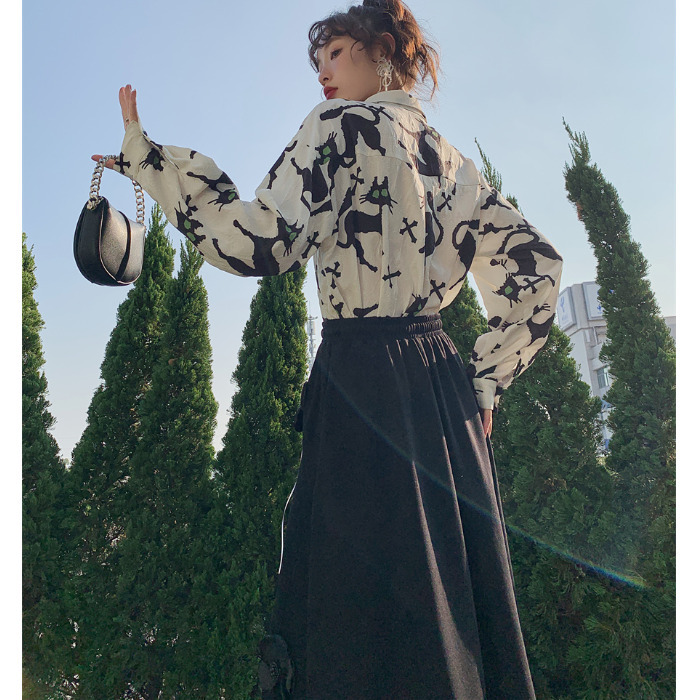 SKIRTwomen's Spring And Autumn Mid-length Fashionable A-line Skirt