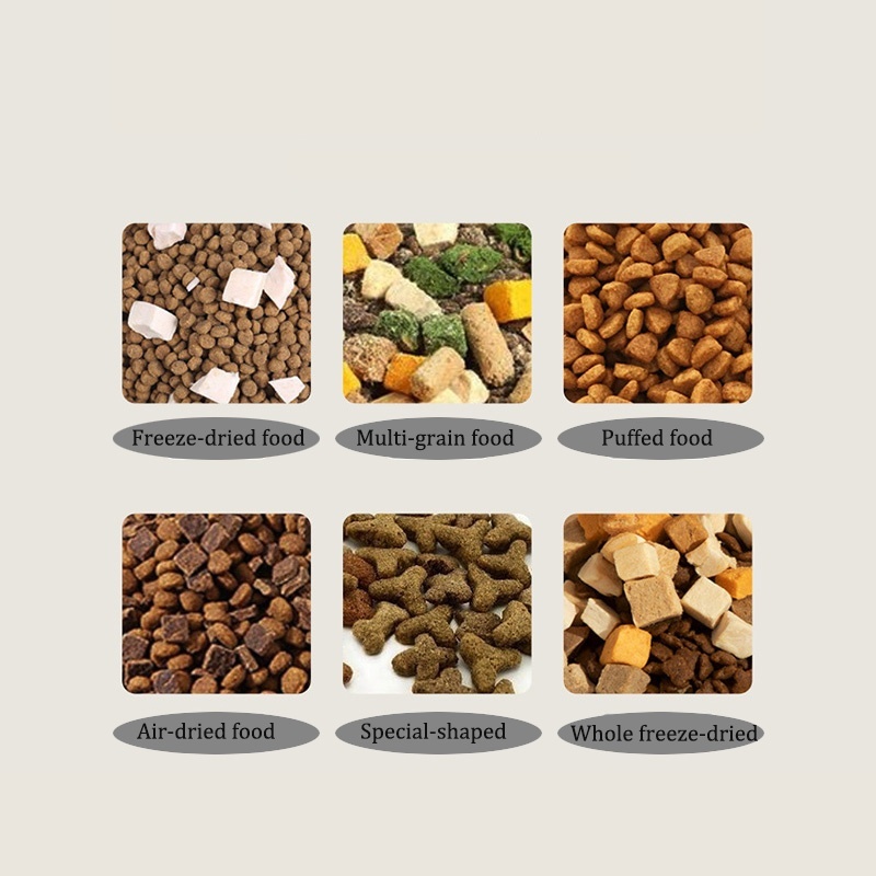 2 In 1 Automatic Cat Feeder Water Dispenser Dry Wet Pet Dog Puppy Food