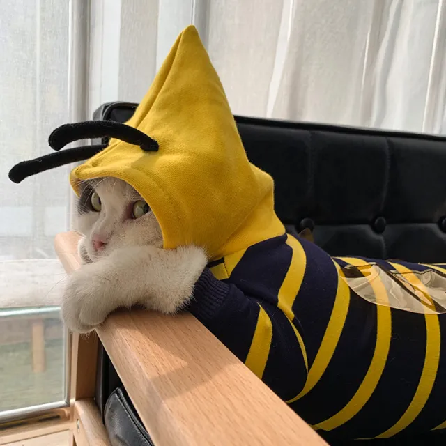 Winter Warm Clothes Cute Plush Coat Hoodies For Bulldog Pet Costume Jacket Bee Pet Puppy Coat Yellow Striped Bee Costume - Shop at LoveMi