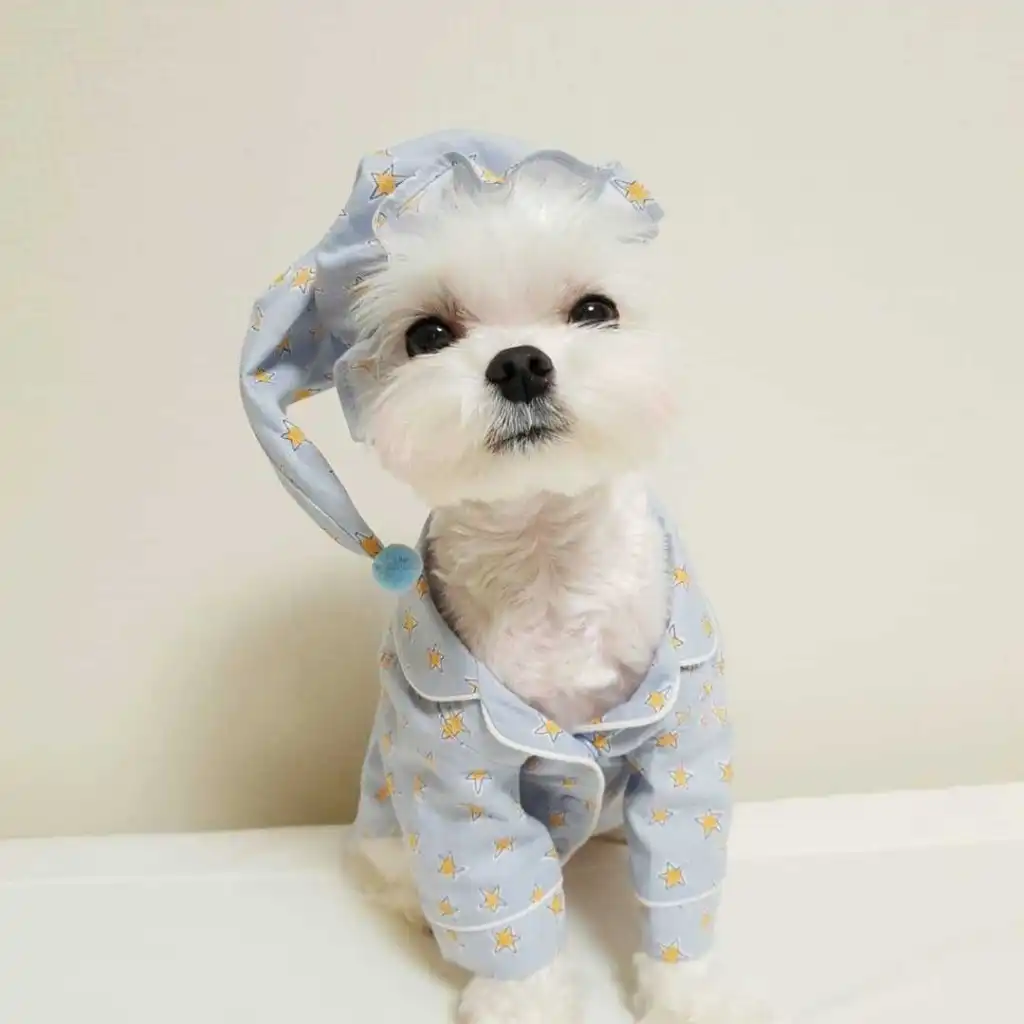 Blue Star Pajama Set Dog Loungewear - Blue