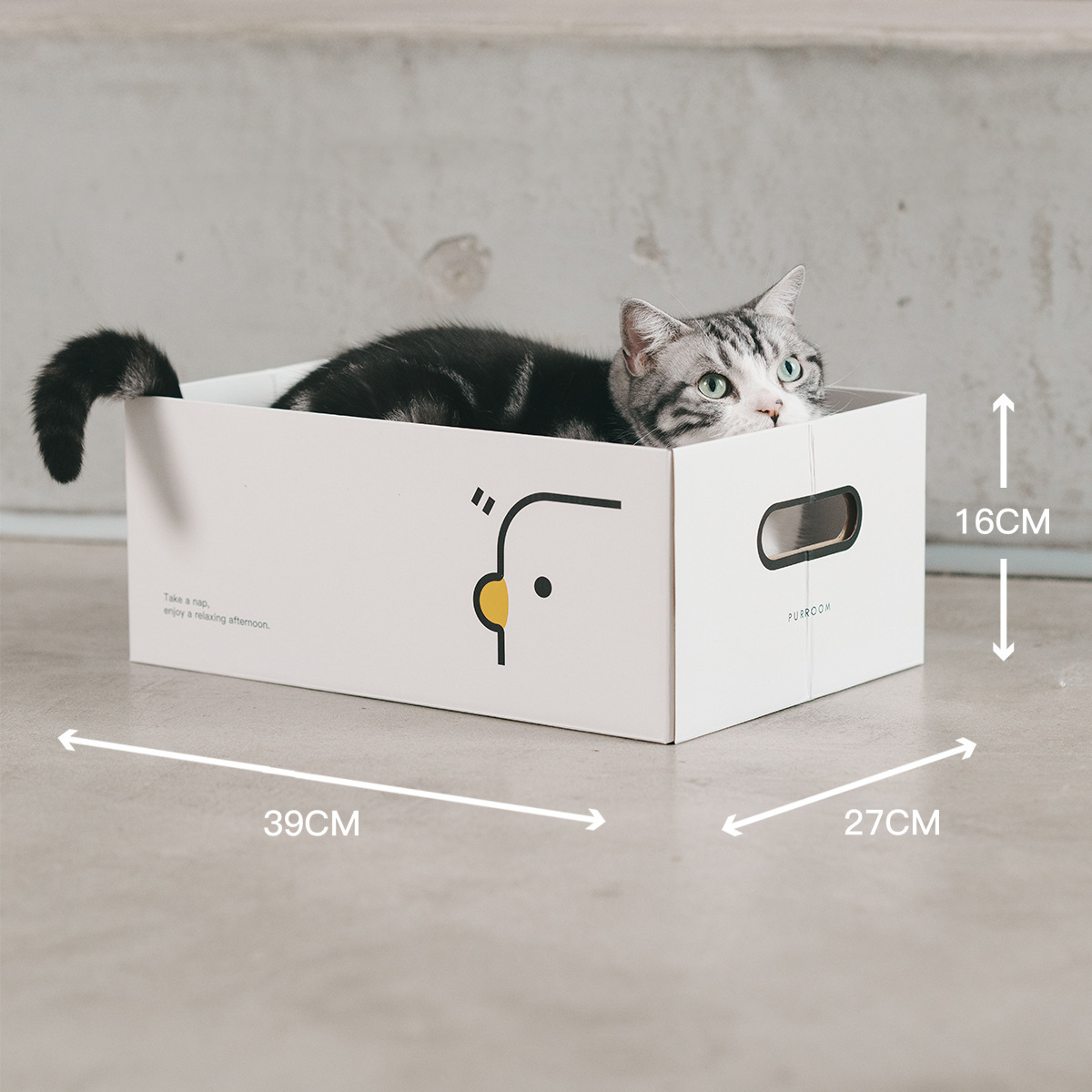 Flat cat scratching board box