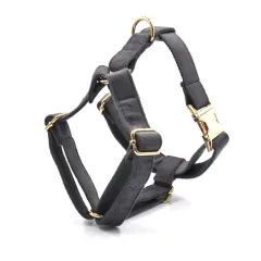 Dark Grey Velvet Pet Collar Leash - Gold Buckle Chest - View 1