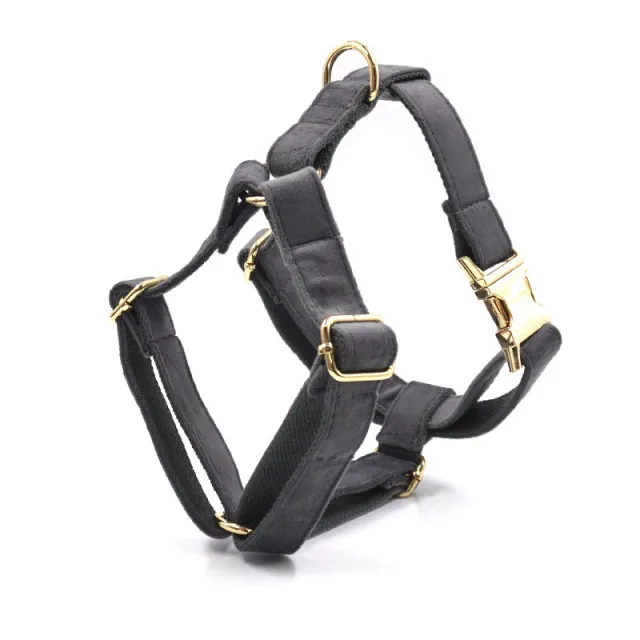 Dark Grey Velvet Pet Collar Leash Gold Buckle Chest - Shop at LoveMi