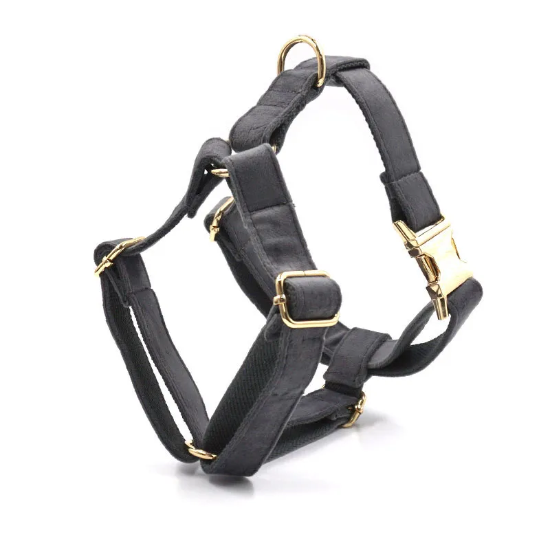 Dark Grey Velvet Pet Collar Leash - Gold Buckle Chest