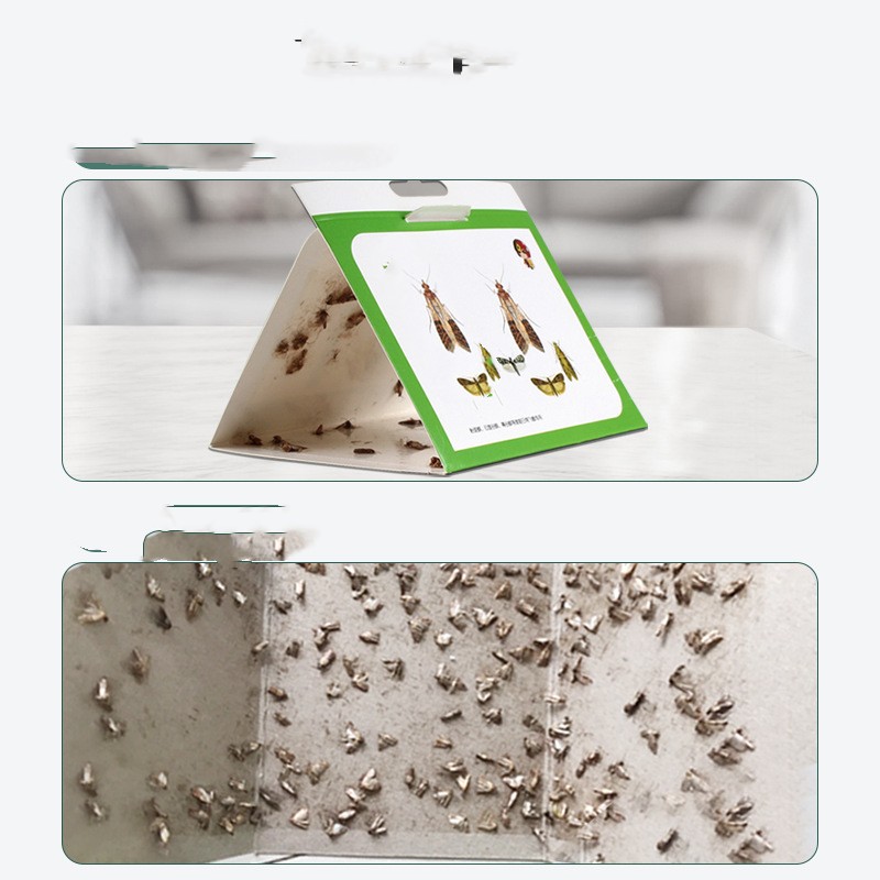 Title 5, Moths Trapper Kill Moths And Rice Worms 5 Pieces