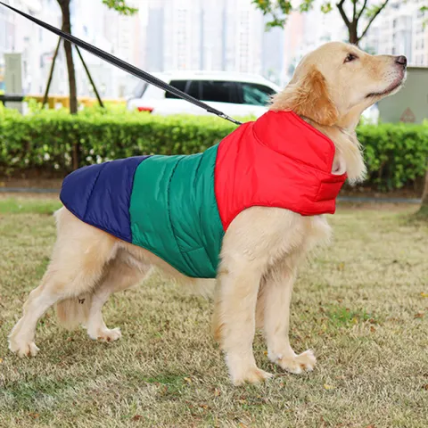 Pet Autumn and Winter Thickened Warmth and Water-repellent Down