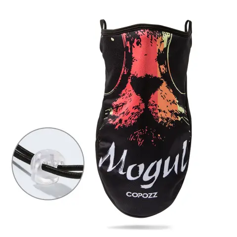 Ski Mask Warm and Windproof Face Protection