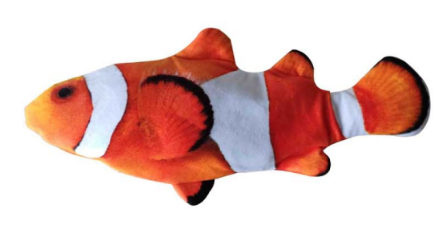 Clownfish