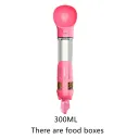 300Ml Has Food Box Pink