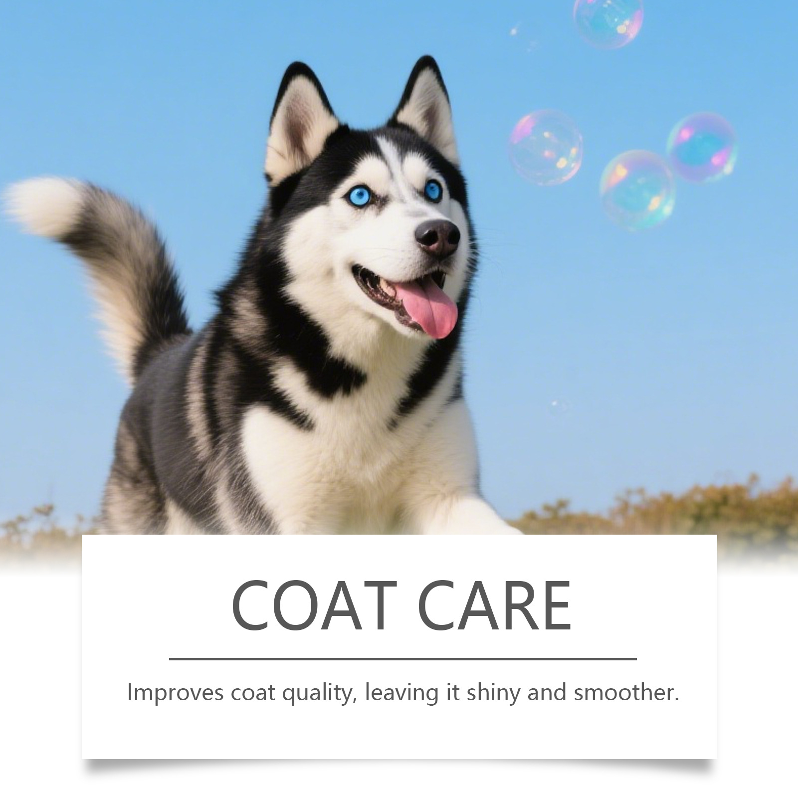 Kriath Pet Nutritional Drops - Gentle Formula For Coat And Skin Care, A Supplement To Main Dog Food — foto 5