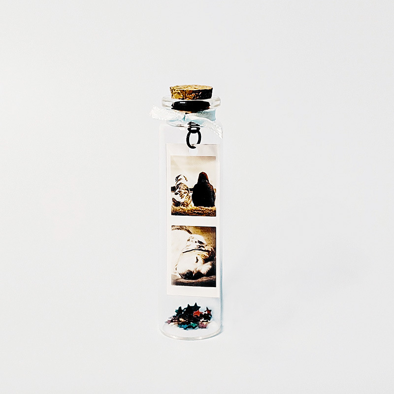 Souvenir Bottle Cat Photo Pet Dog Cork