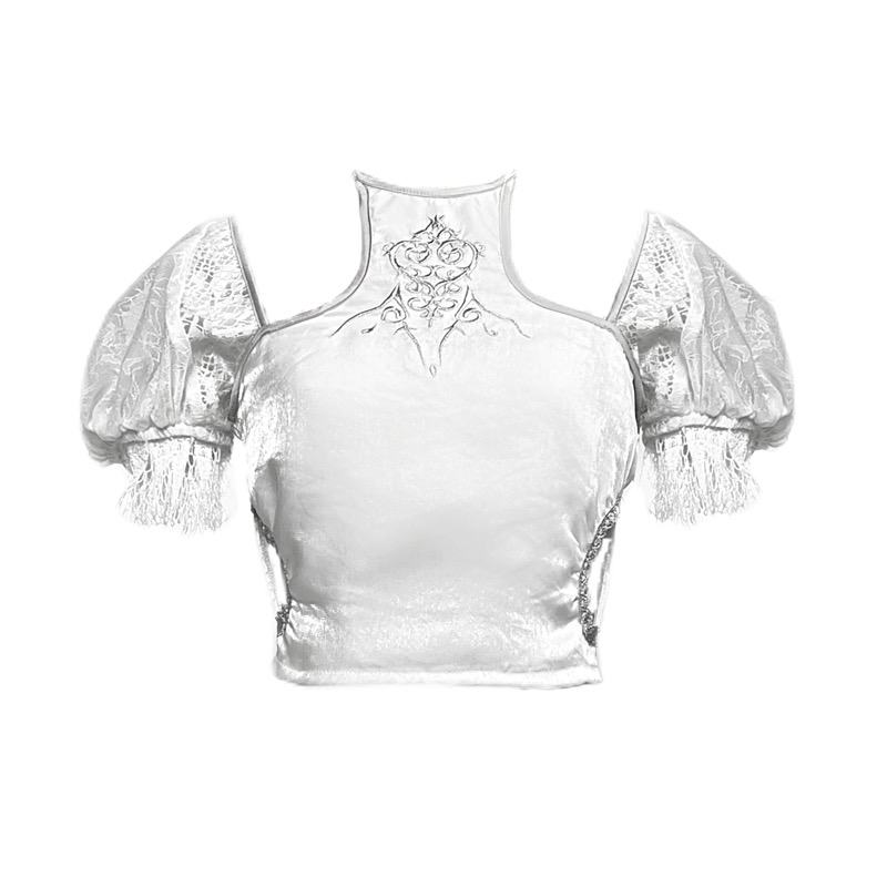 Embroidered Metal Dragon Scale Puff Sleeve Top Panel