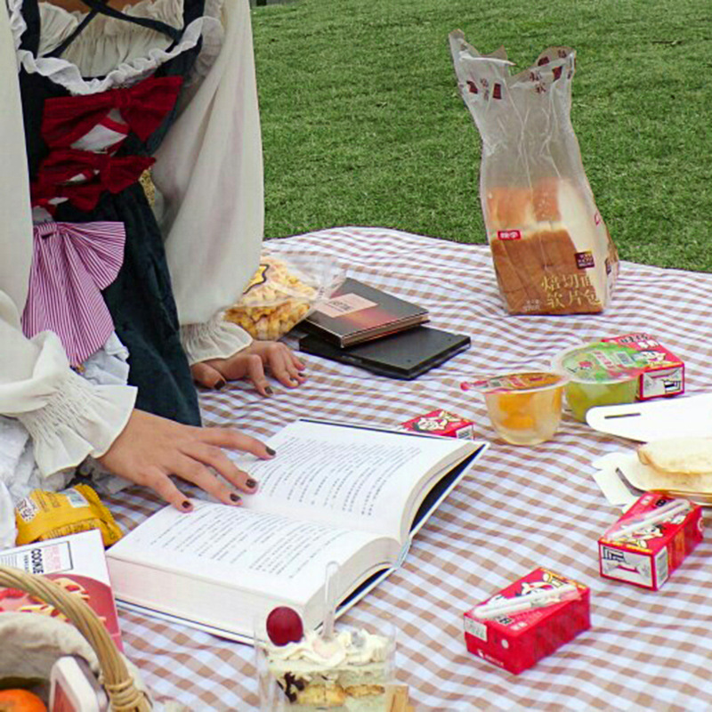 Ultra-light Moisture-proof Mat Portable Waterproof Picnic Mat Mat