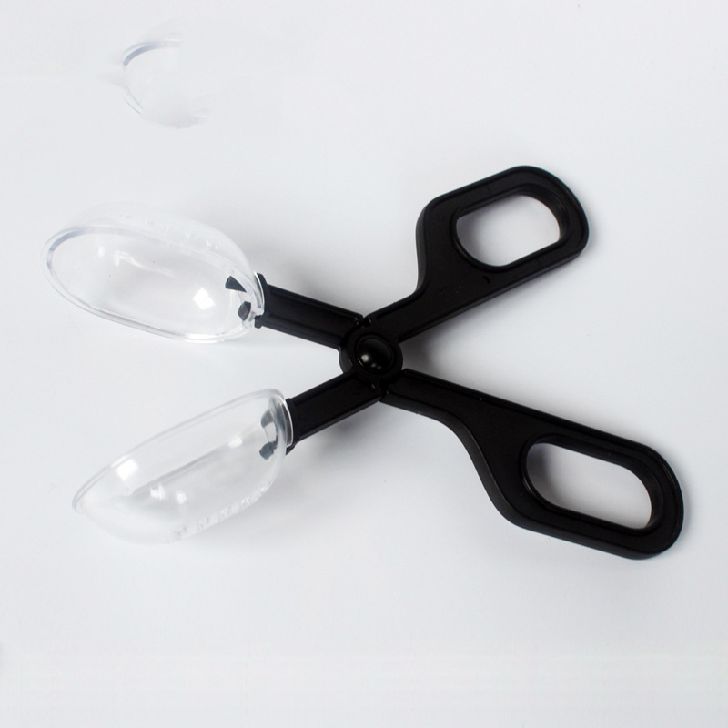 Breeding reptile insects bread worm breeding insect clip