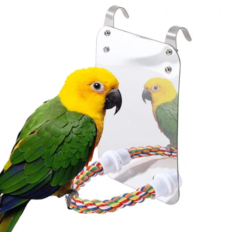 Parrot Toy Acrylic Bird with Mirror