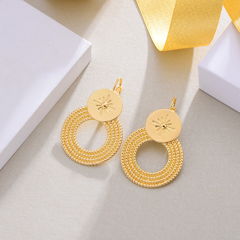 Fashionable Simple Metal Light Luxury Earrings